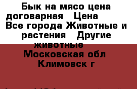 Бык на мясо цена договарная › Цена ­ 300 - Все города Животные и растения » Другие животные   . Московская обл.,Климовск г.